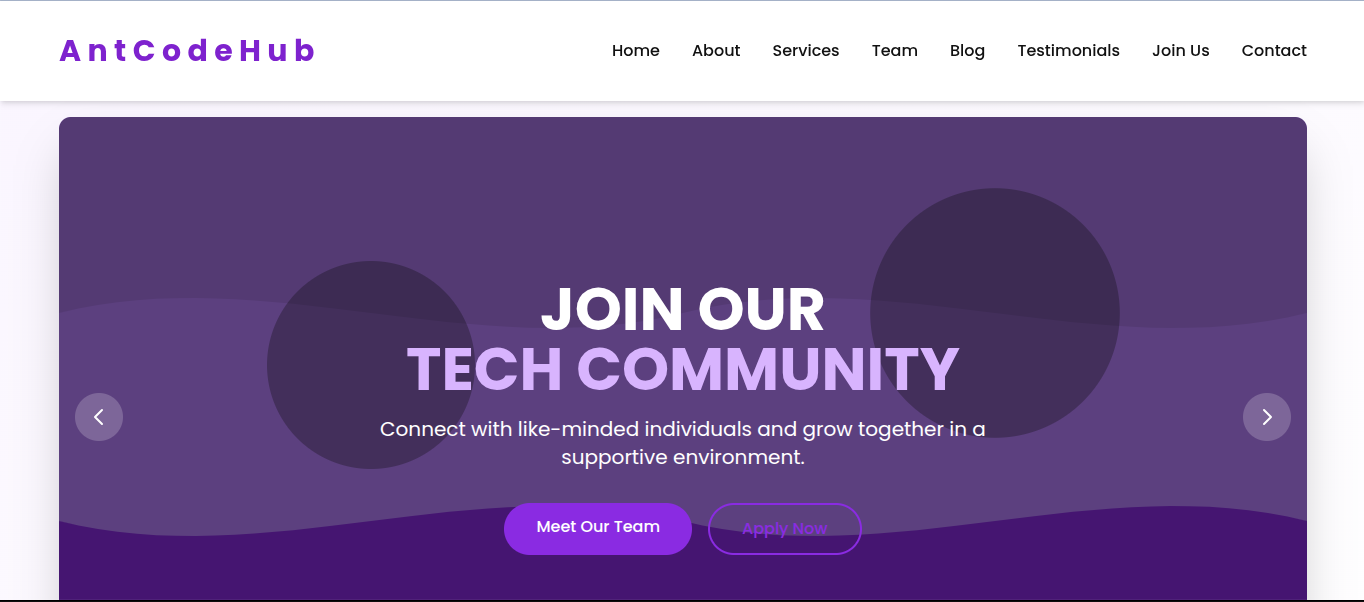 Portfolio Website